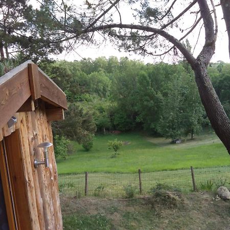 La Cabane En Bois Villemur-sur-Tarn Экстерьер фото