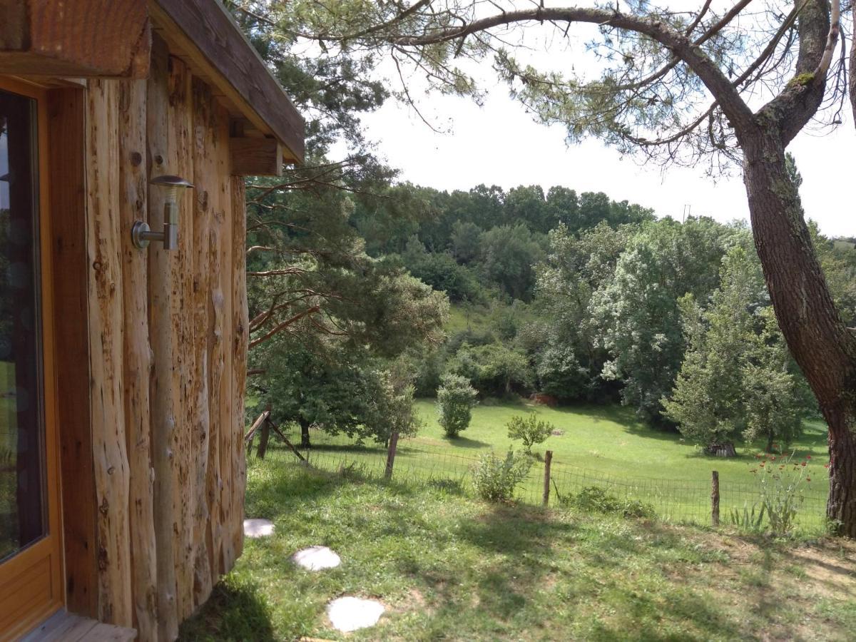 La Cabane En Bois Villemur-sur-Tarn Экстерьер фото