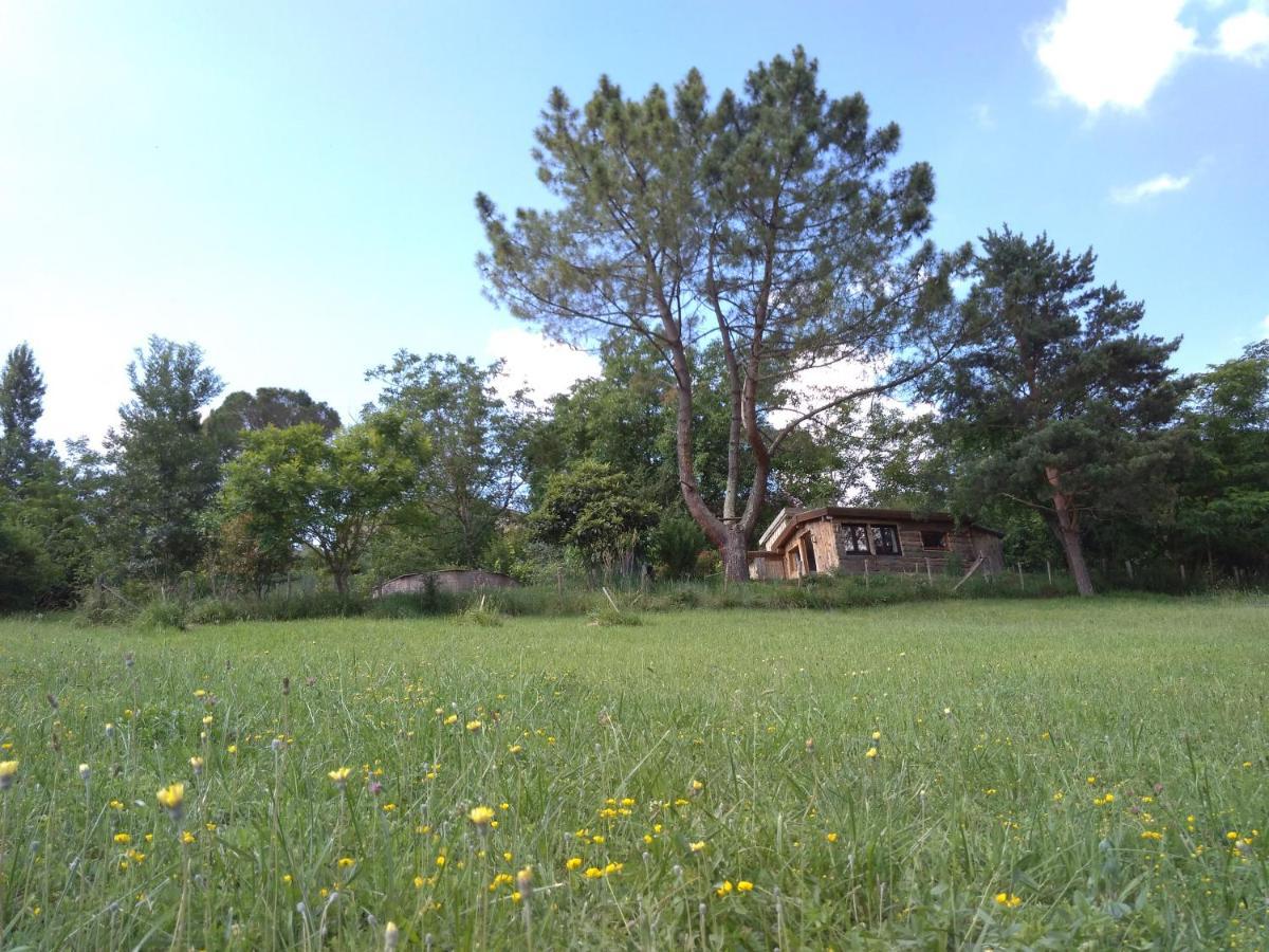 La Cabane En Bois Villemur-sur-Tarn Экстерьер фото