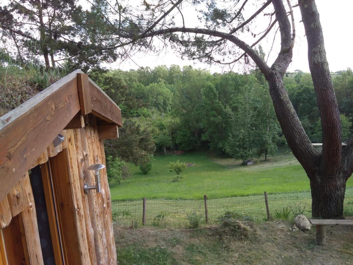La Cabane En Bois Villemur-sur-Tarn Экстерьер фото